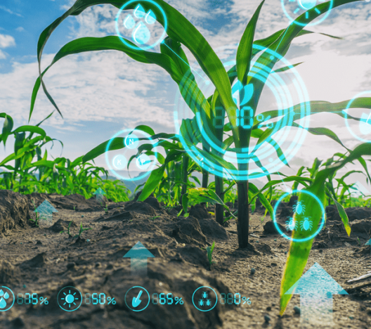 Hibridno kmetovanje – pot v prihodnost?